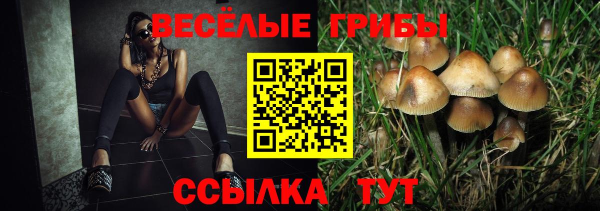 Галлюциногенные грибы Psilocybine cubensis  Псилоцибиновые грибы Psilocybine cubensis  где купить наркотик  Вход с VPN  Кандалакша 